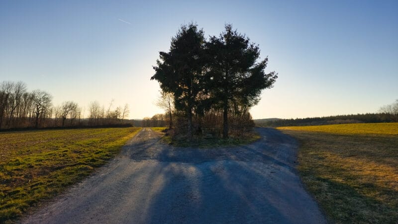 Fork in a rural dirt road representing the critical decision point of when to pivot your startup