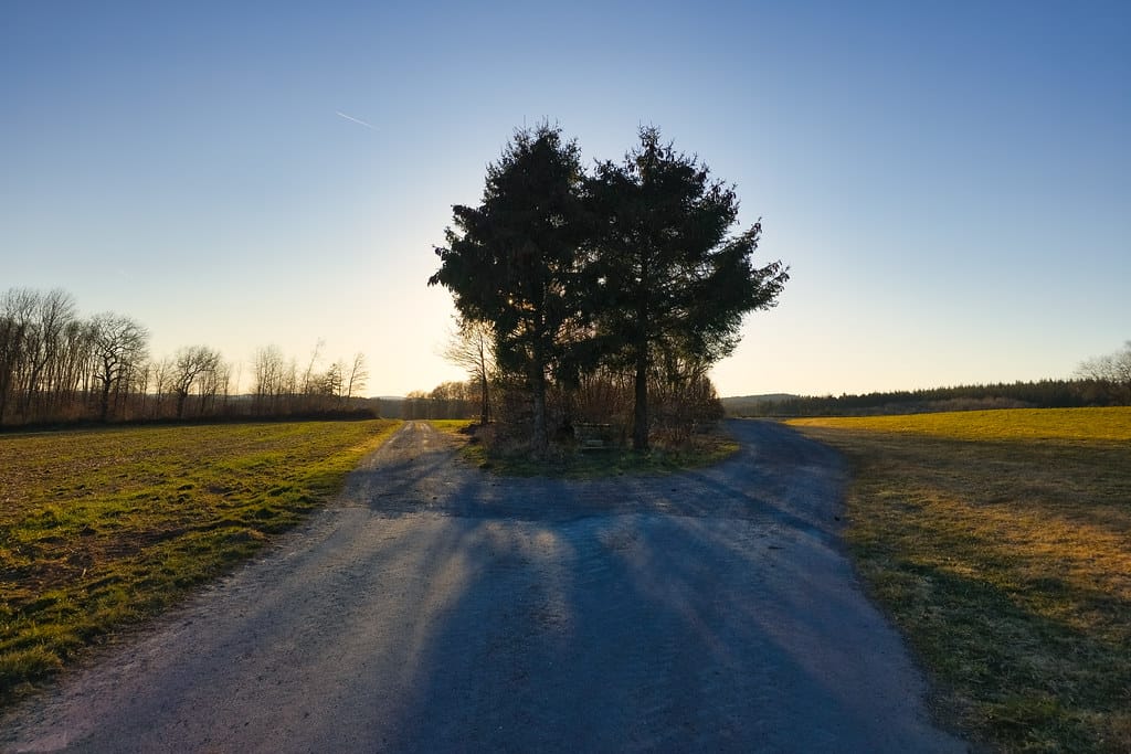 Pivot Signals: The 5 Data Points That Tell a Bootstrapped Founder to Change Direction